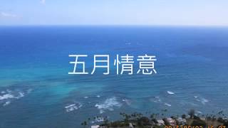 歐陽菲菲好歌     日文改編     また逢う日まで       五月的情意      朱慧珍