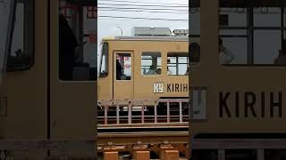 広電のダンボールラッピングの電車#路面電車 #shorts