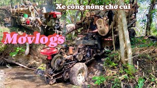 (Mơ vlogs)Xe công nông chở gỗ củi đi đến địa hình núi rừng (cưa cây)