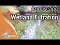 Wetland Filtration For Ponds by Aquascape Wetland Filtration For Ponds by Aquascape