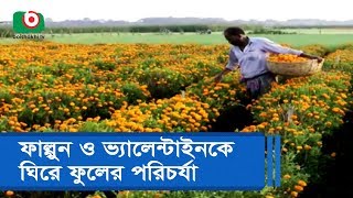 ফাল্গুন ও ভ্যালেন্টাইনকে ঘিরে ফুলের পরিচর্যা