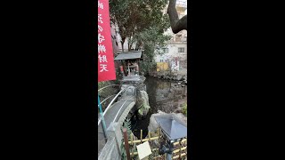 新宿荒木町津の守弁財天須賀神社散歩配信 1.29.25W【配信元動画】Shinjuku Arakicho TsunoMori Benzaiten Suga Shrine live streaming