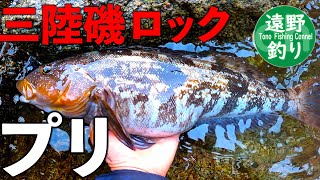 【三陸磯ロック】ついに、プリ。