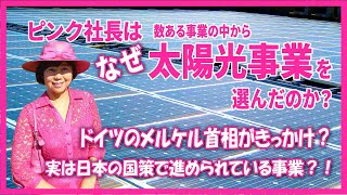 ピンク社長はなぜ太陽光事業を選んだのか【ピンク社長チャンネル】