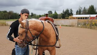 COMO FLEXIONAR EL CUELLO DE TU CABALLO !!!!