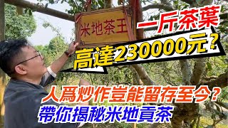 一斤茶葉高達230000元？人爲炒作豈能留存至今？帶你揭秘米地貢茶！购茶请加微信/赖line：HDLG003#普洱茶#古树茶#老班章#古树茶#茶#茶叶#茶葉#古樹茶 #普洱茶wechat #tea