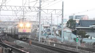 9031レ　EF65-1132(HM付)トワイライト