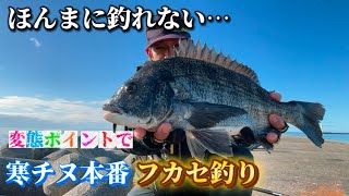 【フカセ釣り）日の出渡船妻鹿波止6番で寒チヌフカセ釣り！