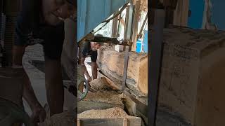 Kondisi kayu jati rakyat di gergaji sawmill