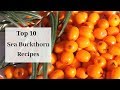 How to preserve Sea Buckthorn Berries | Top 10 Recipes |