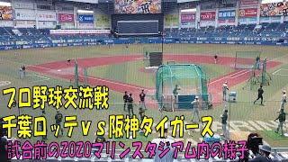 プロ野球交流戦千葉ロッテｖｓ阪神タイガース　試合前のZOZOマリンスタジアム内の様子