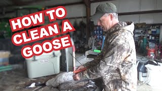 How To Clean a Goose