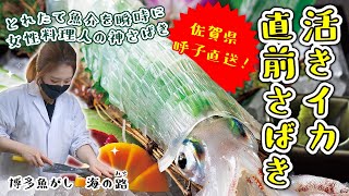 【福岡】とれたて魚介を瞬時に女性料理人の神さばき　佐賀県呼子直送！ 活きイカ直前さばき/取材メシ