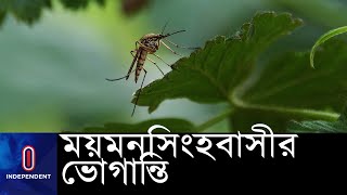 মশার উপদ্রব বেড়েছে কয়েকগুণ; দিন-রাত কোন সময়েই নেই স্বস্তি || #Mymensingh #Mosquito