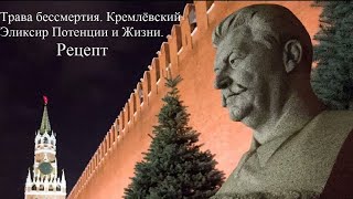 Трава бессмертия. Эликсир Потенции и Жизни вождей Кремля. Рецепт