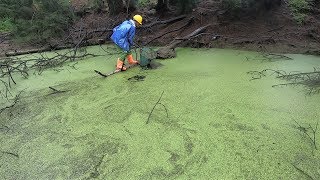 几百平水塘野货真不少，来叔顶着10级暴雨狂抓，120一斤极品大好货