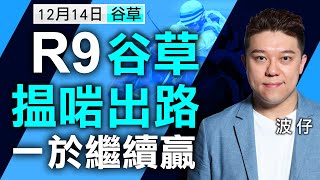 【堅仔跟進馬】（12月14日）第9場：谷草搵啱出路，一於繼續贏｜賽馬貼士｜賽馬直擊｜波仔