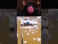 caseoh when he jumps in a pool 😨 shorts caseoh funnyclips viral twitch