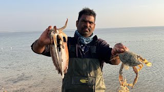 കടലിൽ വലയിട്ടപ്പോൾ കിട്ടിയത് 😳( sea fishing ).