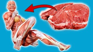 You would NOT BELIEVE what happens when you eat Meat EVERY DAY 💥 (surprise) 🤯