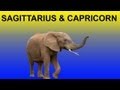 Uttra Ashadha Nakshatra (Vedic Astrology) Sagittarius & Capricorn Horoscope Ep. 20