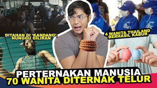 PERTERNAKAN MANUSIA 100 WANITA DIAMBIL TELURNYA