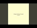 Ocean Ember Forest