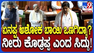 Assembly session: ಸದನದಲ್ಲಿ ಡಿಕೆಶಿ, ಸಿದ್ದು ಒಟ್ಟಿಗೆ ನಿಂತು ಅಶೋಕ್​ಗೆ ತಿರುಗೇಟು ಕೊಟ್ರು | #TV9D