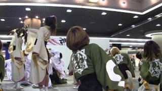 大阪芸術大学よさこい×結び　神戸よさこい2014　デュオこうべ会場