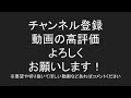 【mtgアリーナ】マナフラに悶絶する賢ちゃん【行弘賢切り抜き】