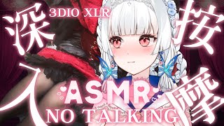 【NO TALKING ASMR】深入按摩 黑絲姊姊的深夜服務  3DIO XLR ASMR/睡眠導入/耳マッサージ【天使Vtuber小雪Yukichan】 #Vtuber Surfshark VPN