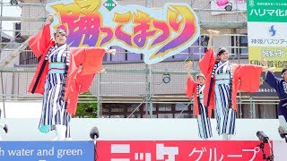 [4K] 我楽多　2日目　加古川 踊っこまつり 2019 (中央)