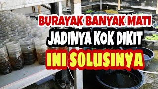 KUNCI SUKSES DAN TIPS BURAYAK HIDUP