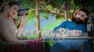 Pehle Bhi Main [ Slowed Reverb ] Song | Animal | Vishal Mishra | Lofi Mix | J M Lofi World