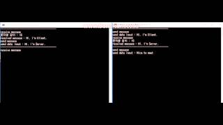Echo Server & Client Sting Exchange