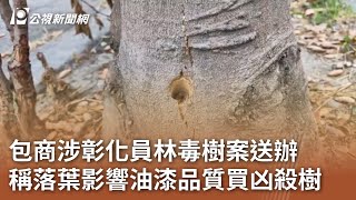 包商涉彰化員林毒樹案送辦 稱落葉影響油漆品質買凶殺樹｜20240301 公視中晝新聞