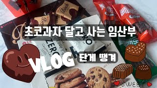 [Vlog ep16] 초코과자 달고 사는 임산부 일상 집밥 요리 임산부식단