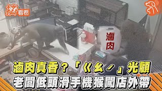 滷肉真香？「ㄍㄠˊ」光顧 老闆低頭滑手機猴闖店外帶｜TVBS新聞｜擠看看 #shorts