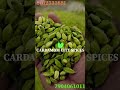 7.5mm cardamom 8012333881 cardamom city spices spices board e auction pushpa2 ipl dhoni csk