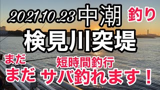 湾奥・検見川突堤・短時間釣行・朝マズメ・サバチャンス・2021.10.23中潮