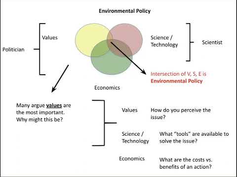 Which is an important question to consider when creating an environmental policy?