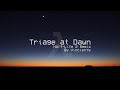 Half-Life 2 OST - Triage at Dawn (Vincienty Remix)