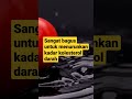 Tomat dapat Menurunkan Kolesterol