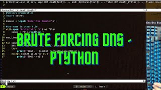 ASMR Programming - DNS Bruteforcing with python - no talking