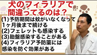 犬のフィラリアについて間違っているのはどれ？【愛玩動物看護師国家試験対策】