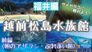 【福井】越前松島水族館(朝のアザラシ・ふれあい館)