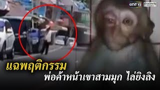 สาวแฉพฤติกรรมพ่อค้าหน้าเขาสามมุข ไล่ยิงลิง | ข่าวช่องวัน | one31