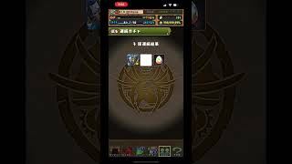 月pass: MP角3連抽 (アマージュでるかもガチャ×3連) #pad #パズドラ #龍族拼圖