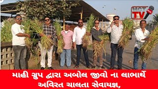 માહી ગ્રુપ દ્વારા અબોલ જીવો ના લાભાર્થે અવિરત ચાલતા સેવાયજ્ઞ,