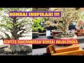 inspirasi bonsai//review peserta pamlok majalengka 2024